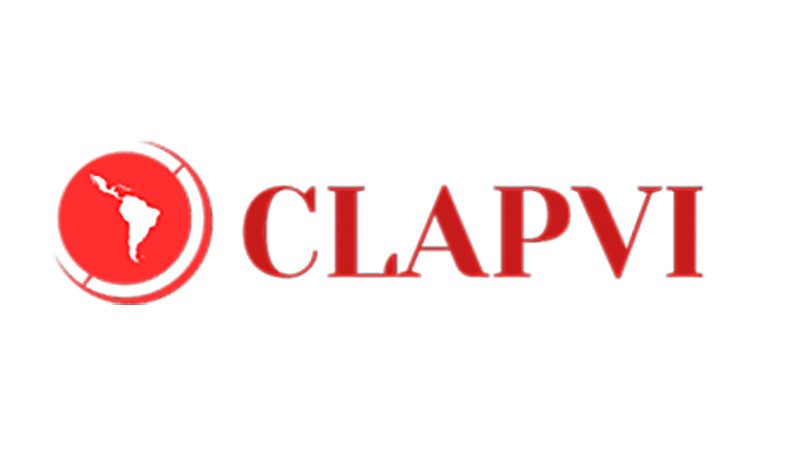 Site da CLAPVI: um novo meio de comunicação para divulgar o carisma vicentino